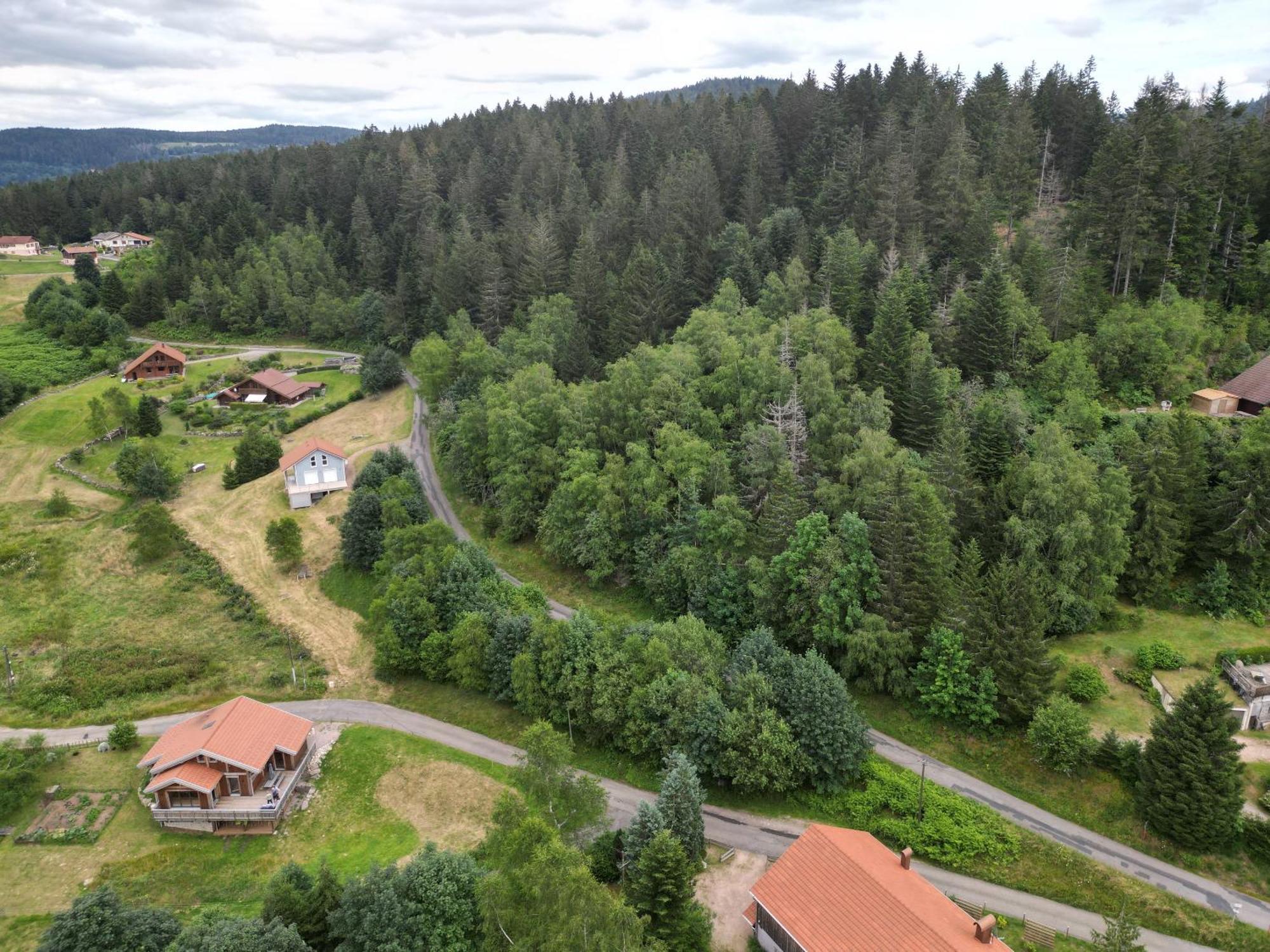 Chalet L'Appel De La Foret ジェラールメ エクステリア 写真